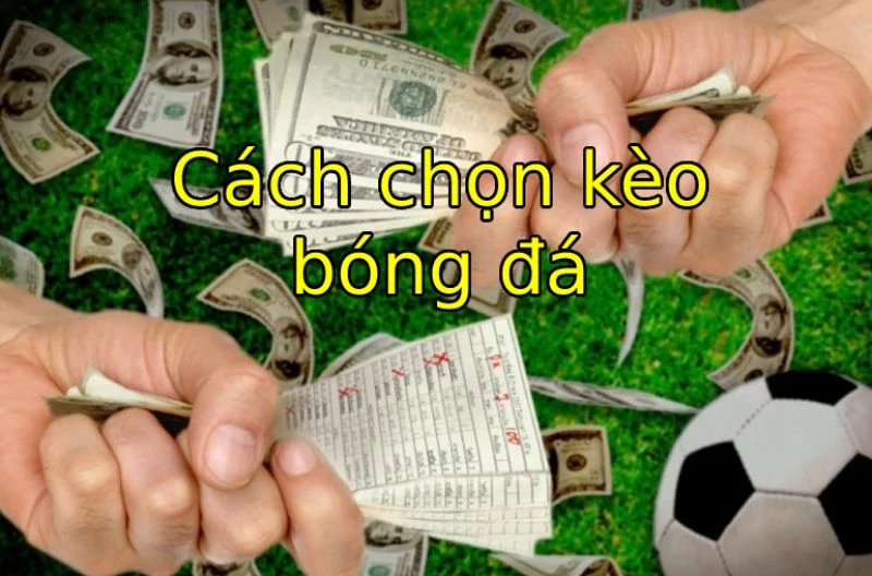 ONE88 Một số loại kèo mà người chơi không nên tham gia cá cược
